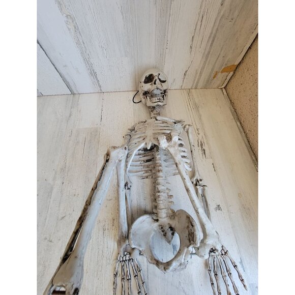 Skeleton AS IS jointed hanging Halloween home decor prop scary - Picture 4 of 15